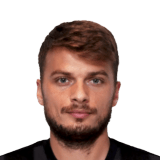 Adem Ljajic