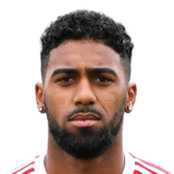 Érico Henrique Esteves De Sousa