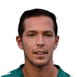Luís Miguel Pereira Cortez