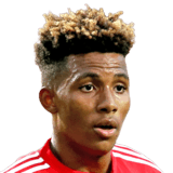 Gedson Carvalho Fernandes