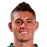 Nicolás Roa