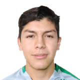 José Saúl Hernández