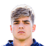 Alessandro Tripaldelli