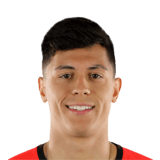 Vinícius Ferreira Dias