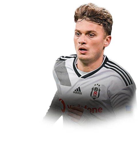 Adem Ljajic