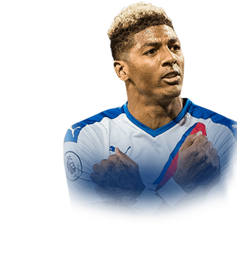 Patrick van Aanholt