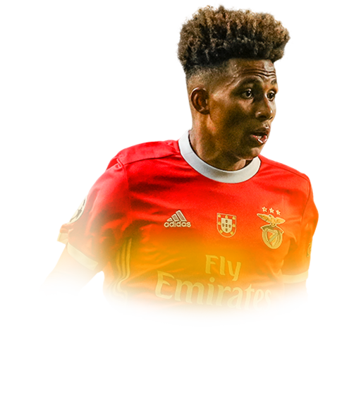 Gedson Carvalho Fernandes