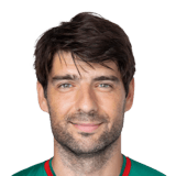 Vedran Ćorluka