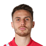 Matheus Simoneti Bressaneli