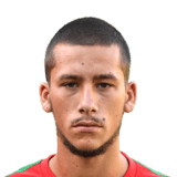 André António Rosário Teles