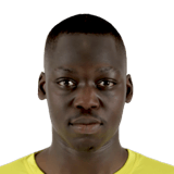 Dominique Youfeigane