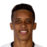 Pedro Victor Delmino da Silva