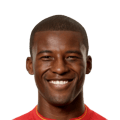 Wijnaldum