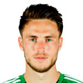 van Wolfswinkel
