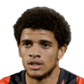 Taison