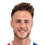 van Wolfswinkel