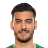 Gazzaniga