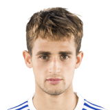 Januzaj